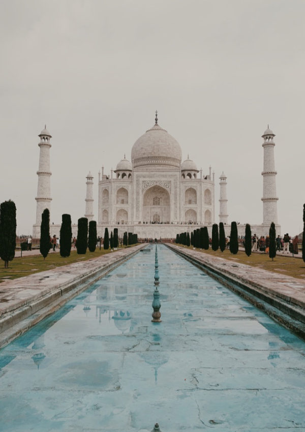 Travel Diary: India Part II