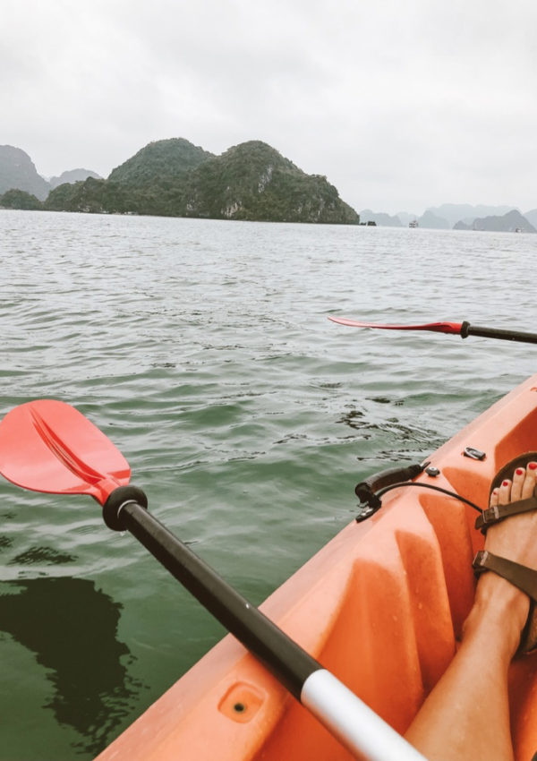 Travel Diary: Vietnam Part II