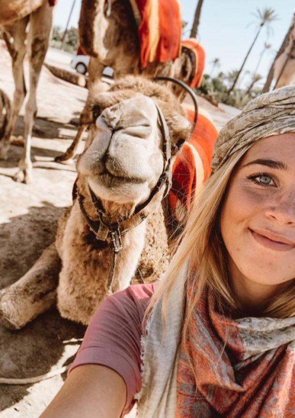 Travel Diary: Morocco Part III